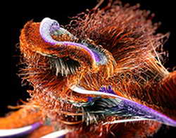 Валютный рынок, Daily history за 30 октября 2025 г.