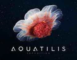 Карасев назначен главным судьей матча «Спартака» и ЦСКА, Левников и Казарцев – на ВАР