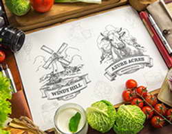 Телескоп «Атакама» завершил миссию и опубликовал окончательные данные о Вселенной